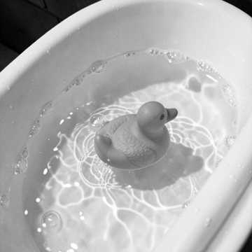 Splish Splash Bath Time