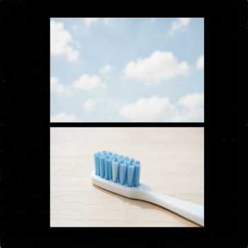 Brushy Brush