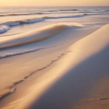 גל קטן (Little Wave)