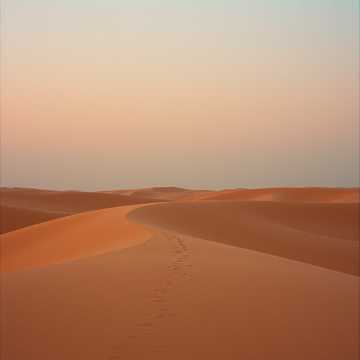 Tanaris Dunes