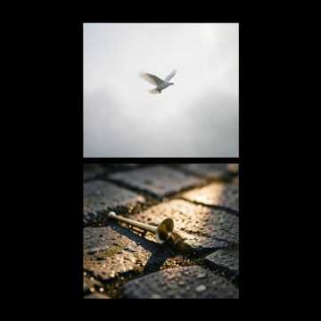 Horn_Trumpet_Our_Times_0a_Remastered_by_r4p1t7