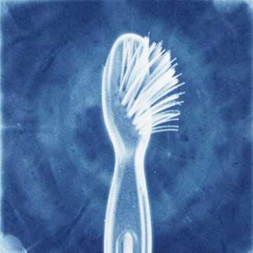 Brushy Brush