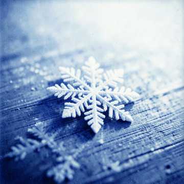 Winter Café Carol