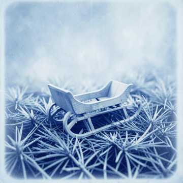 Winter Café